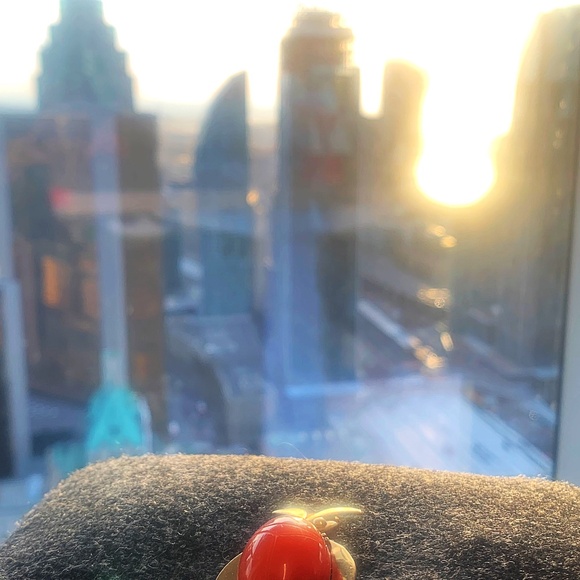 Meet your Posher, Ogon! - Picture 1 of 1